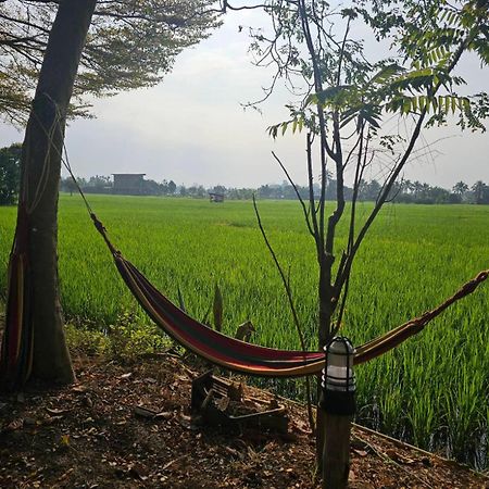 Tung Tong Homestay & Camping Мае Рим Екстериор снимка