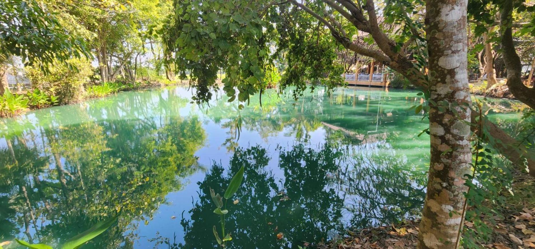 Tung Tong Homestay & Camping Мае Рим Екстериор снимка
