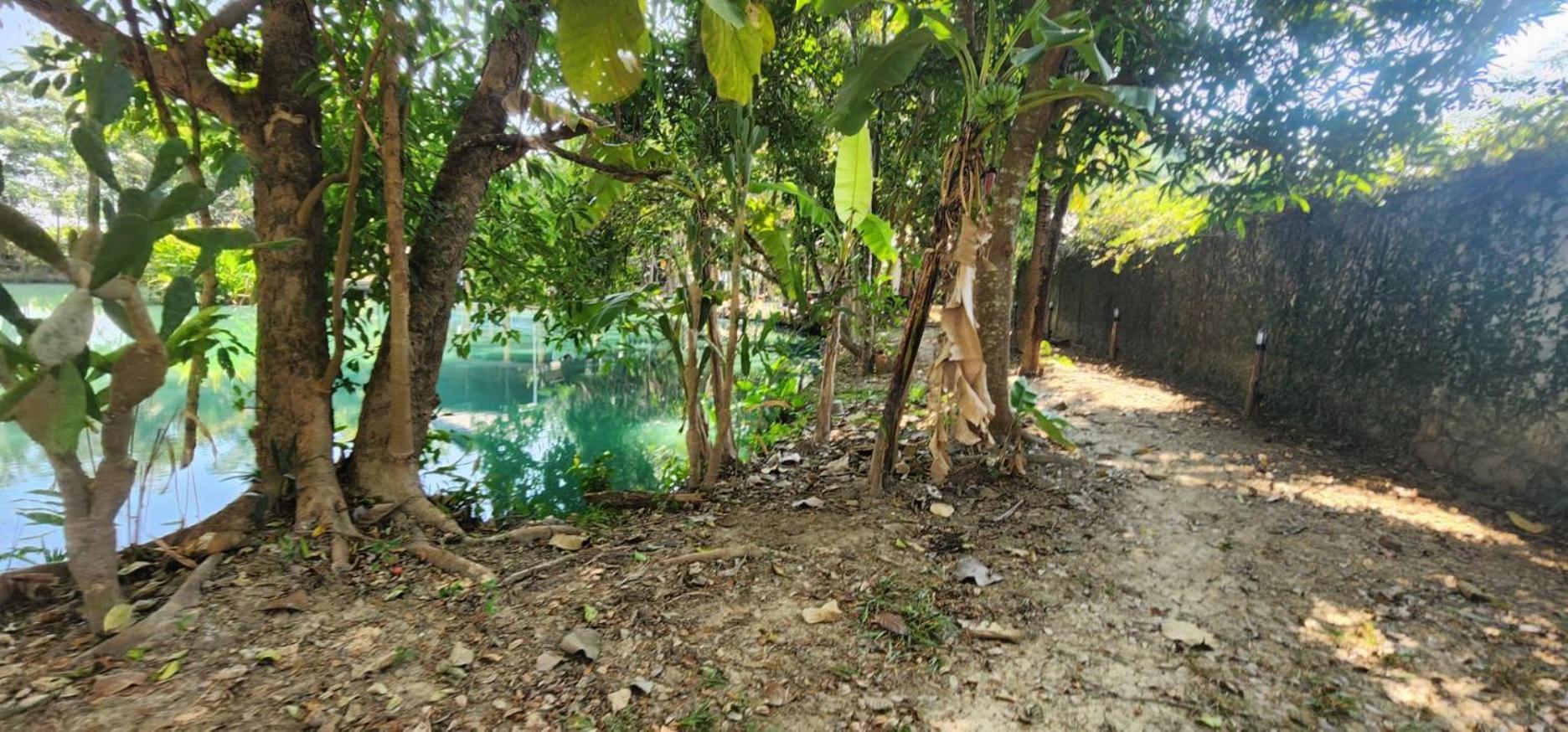 Tung Tong Homestay & Camping Мае Рим Екстериор снимка