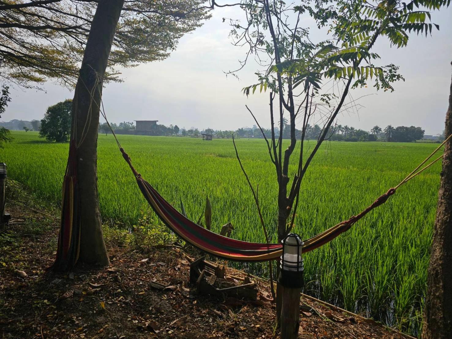 Tung Tong Homestay & Camping Мае Рим Екстериор снимка