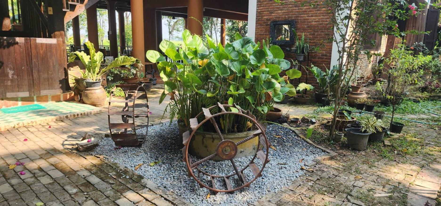 Tung Tong Homestay & Camping Мае Рим Екстериор снимка