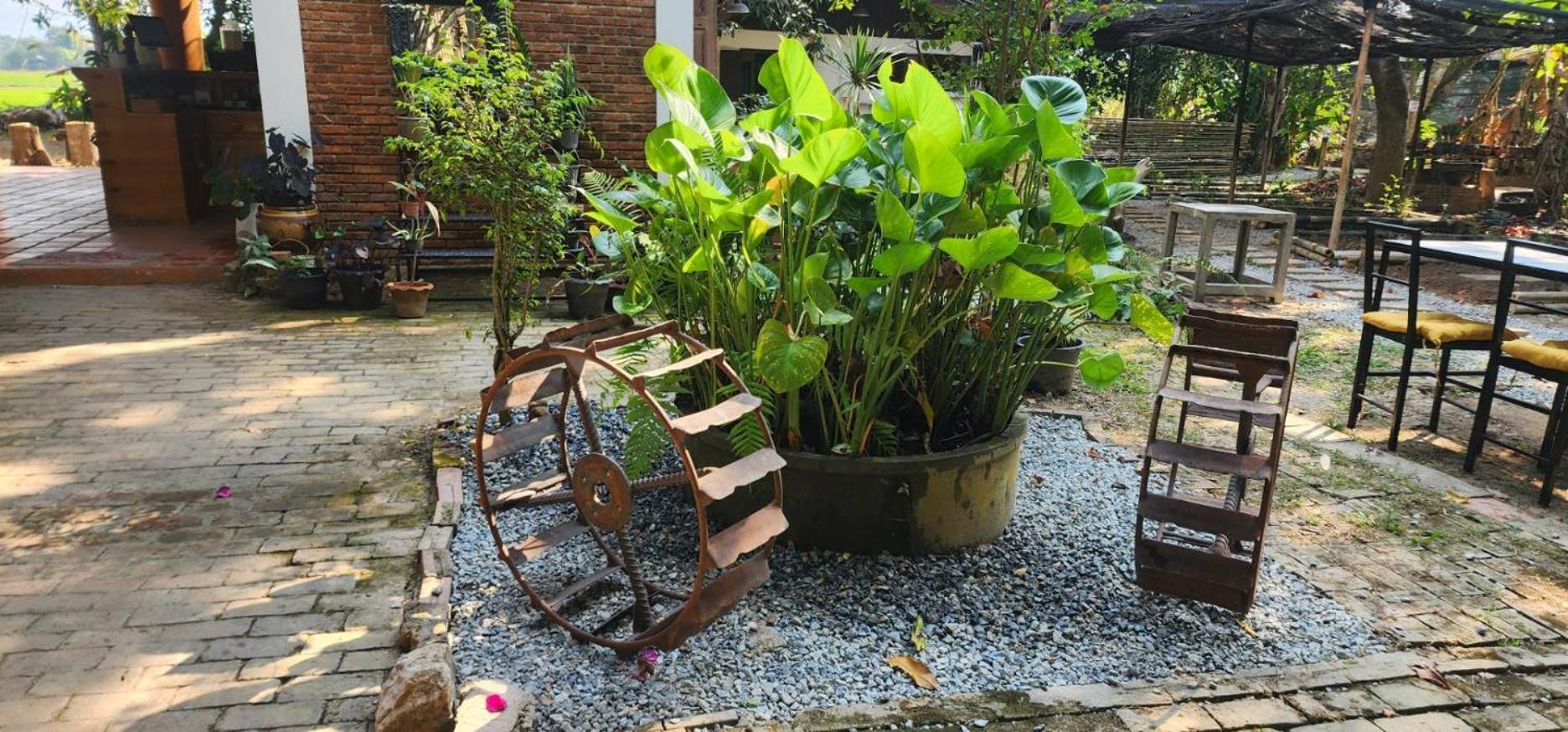 Tung Tong Homestay & Camping Мае Рим Екстериор снимка