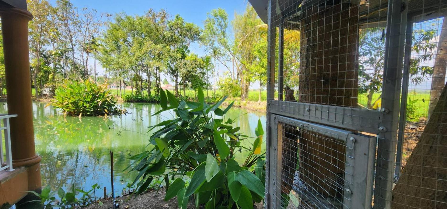 Tung Tong Homestay & Camping Мае Рим Екстериор снимка